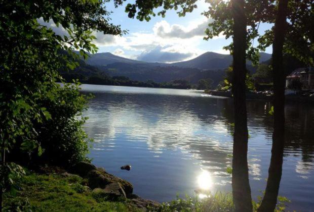 Studio Au Coeur Des Volcans D Auvergne - Murol Ngoại thất bức ảnh