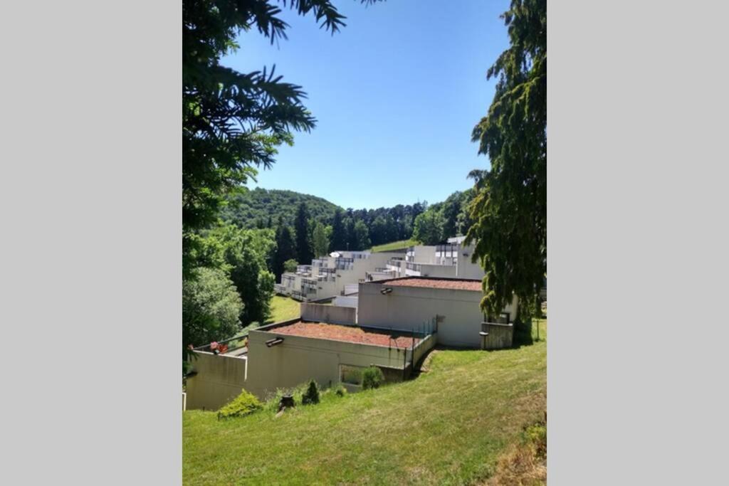Studio Au Coeur Des Volcans D Auvergne - Murol Ngoại thất bức ảnh