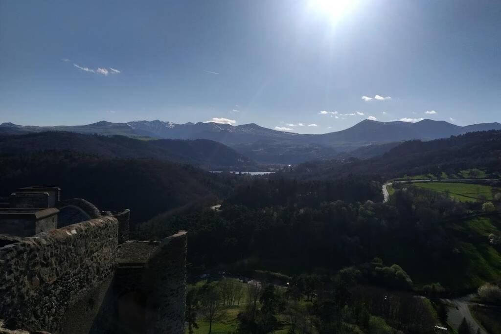 Studio Au Coeur Des Volcans D Auvergne - Murol Ngoại thất bức ảnh