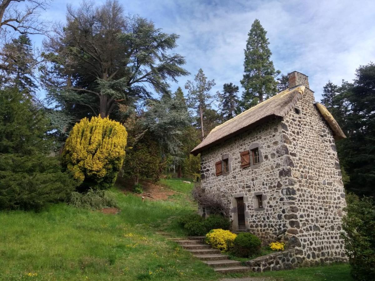 Studio Au Coeur Des Volcans D Auvergne - Murol Ngoại thất bức ảnh