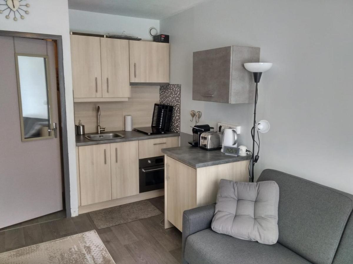 Studio Au Coeur Des Volcans D Auvergne - Murol Ngoại thất bức ảnh